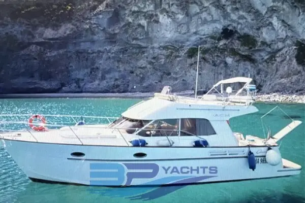 ACM Excellence 38
